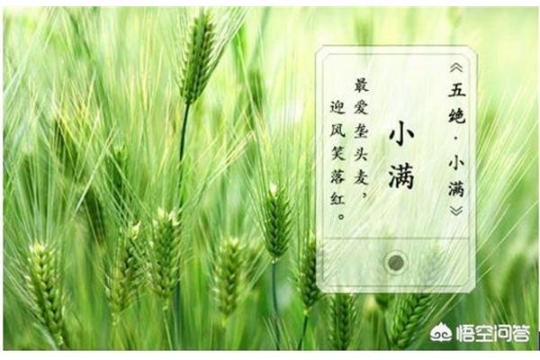 农谚的意思