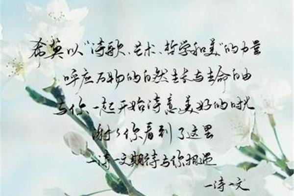 适合做网名的诗句