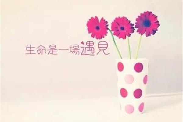 生活感悟经典句子
