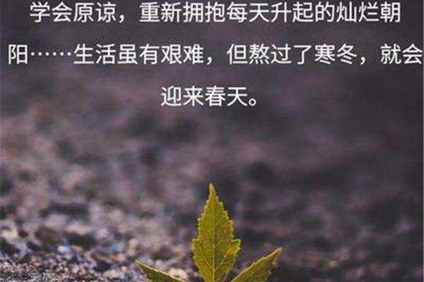 生活感悟经典句子