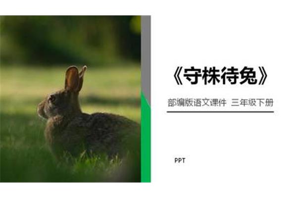 含兔的成语
