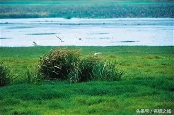 如何保护湿地