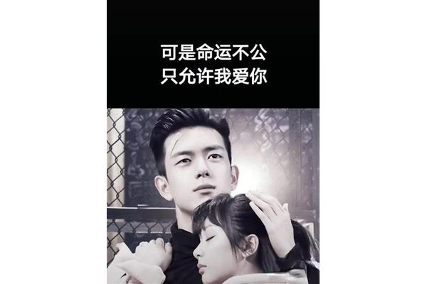 允许我爱你