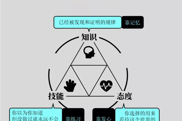 知识与技能