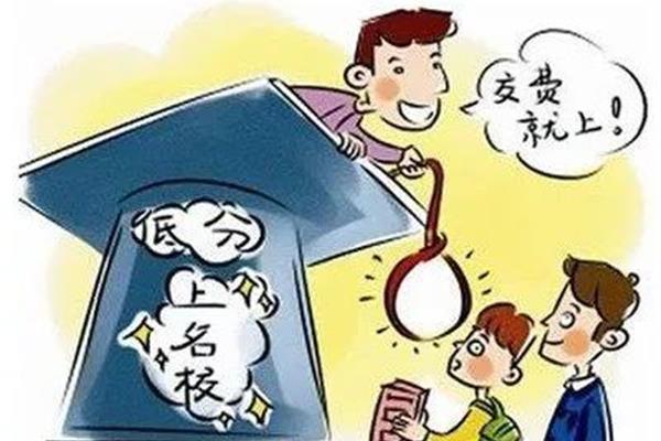 取得的成绩