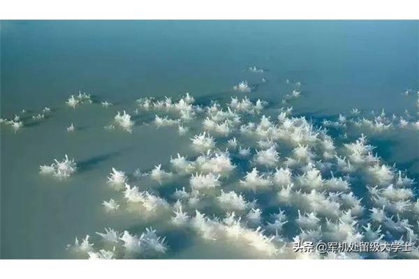 大海为什么是咸的