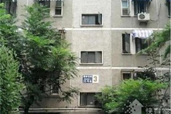 椿树馆小学