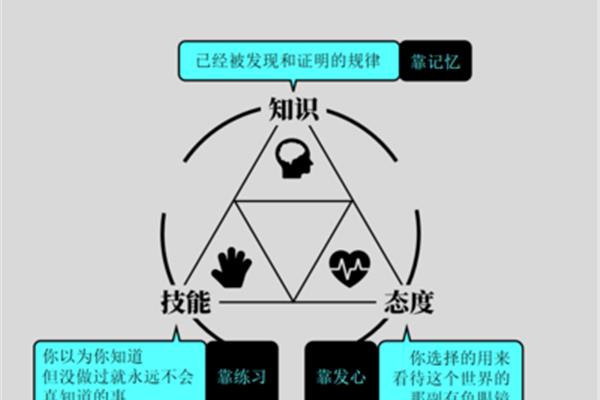 知识与技能