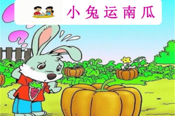 小白兔运南瓜