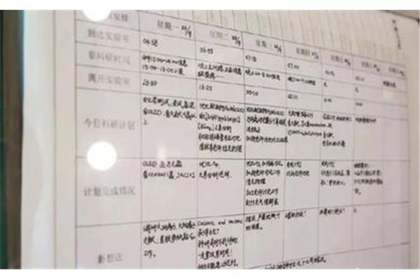 期中考试计划