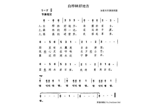 白桦林好地方