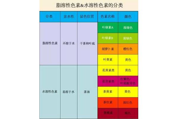 称有哪些种类