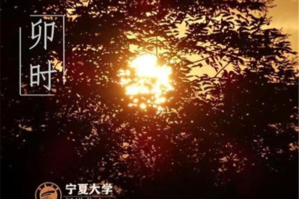 我们的好时光