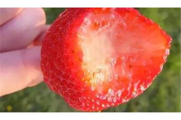 草莓怎么形容