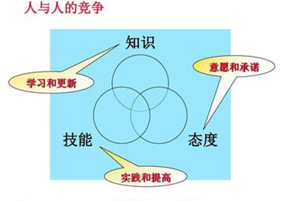 知识与技能