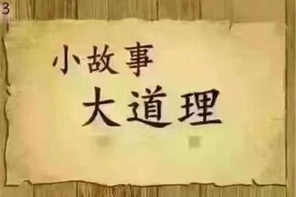 懦弱给谁看