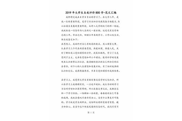 自我评价800