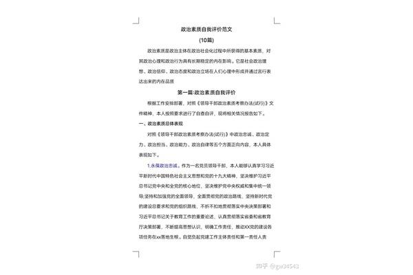 政治态度自我评价