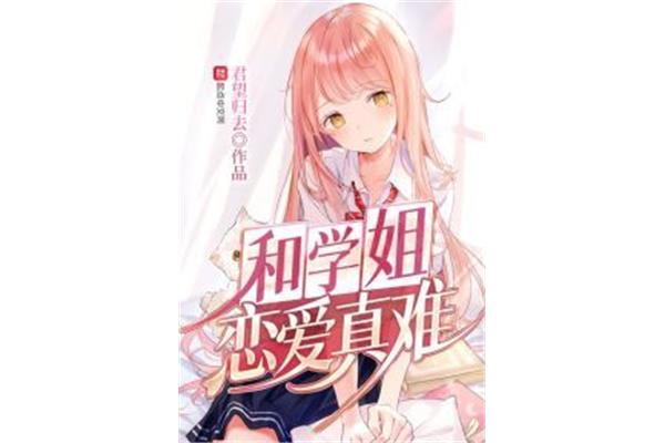 好看的小说完结