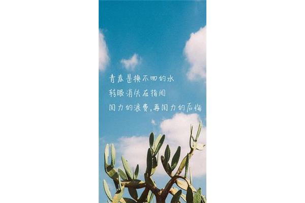 青春励志短句八字