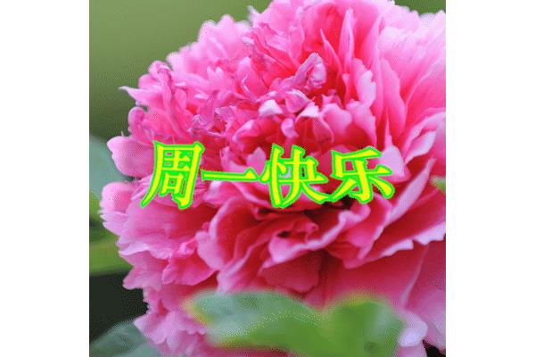 周一快乐图片