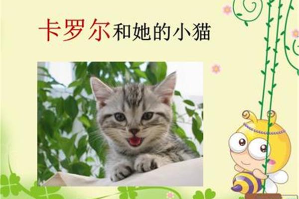 卡罗尔和她的小猫