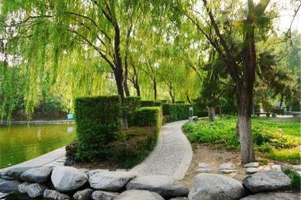 什么样的公园