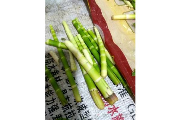 小竹笋怎么做好吃