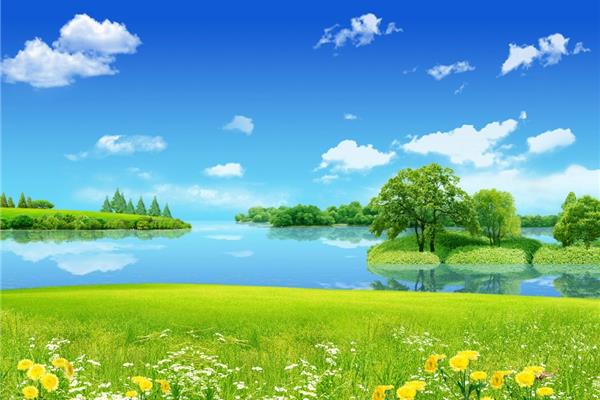 夏天的花园