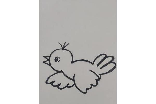 鸟怎么画简单好看