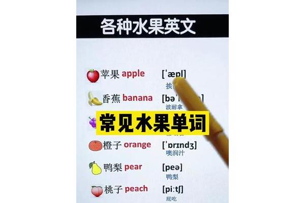 英语单词水果大全