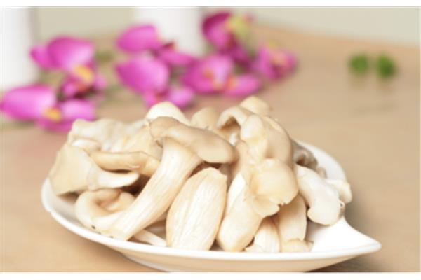 平菇的做法大全