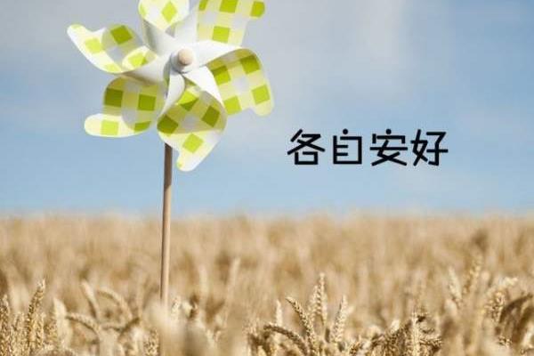 安好的意思