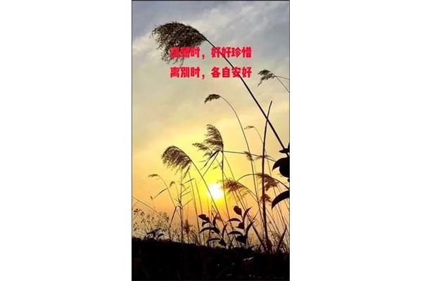 安好的意思