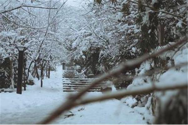 大雪三日下一句