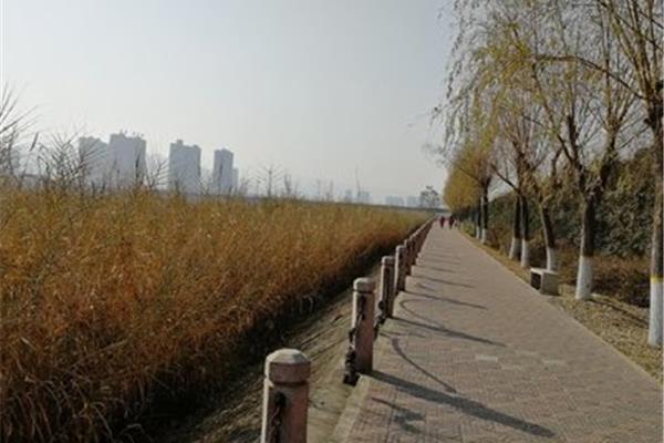 什么样的公园