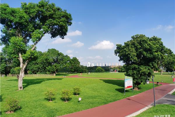 什么样的公园