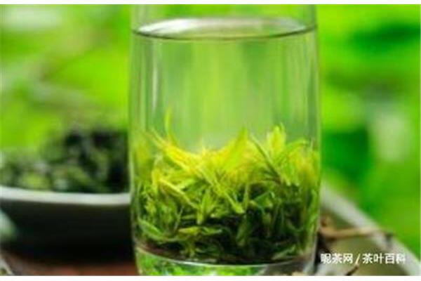 茶叶的功效
