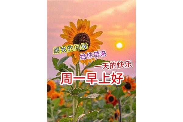 周一快乐图片