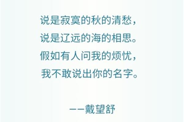寂寞的诗句