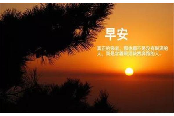 正能量语录早安