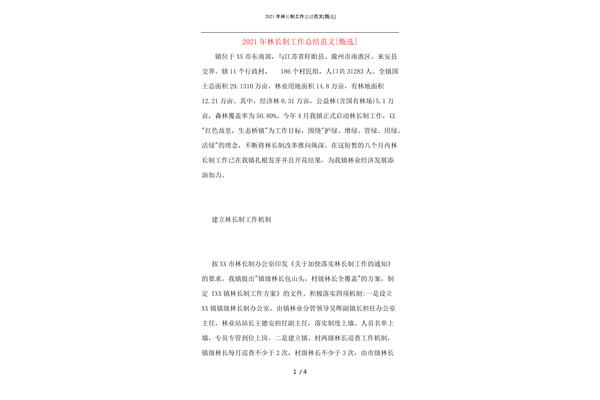 宣传活动总结