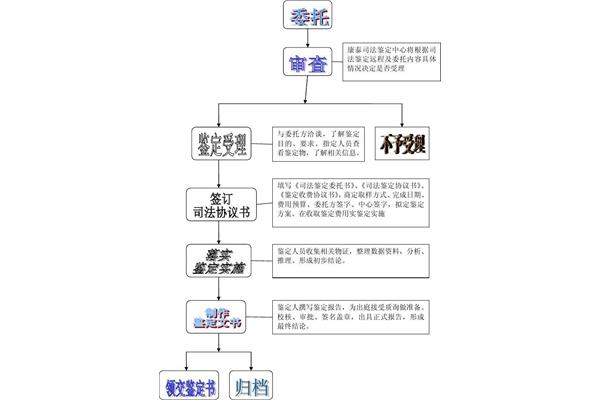 司法鉴定程序