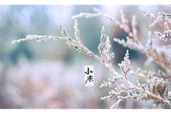 大雪三日下一句