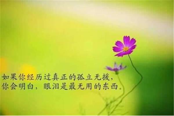 安好的意思