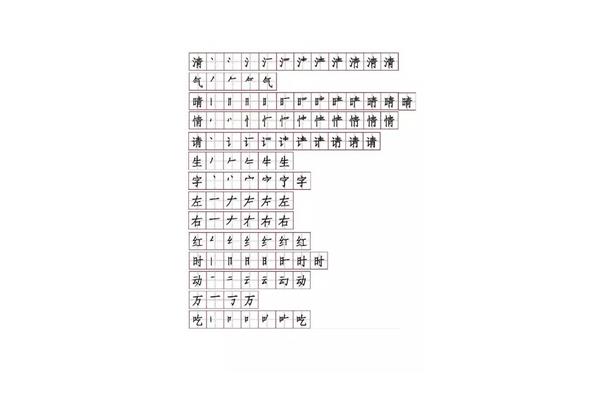 情的笔顺笔画