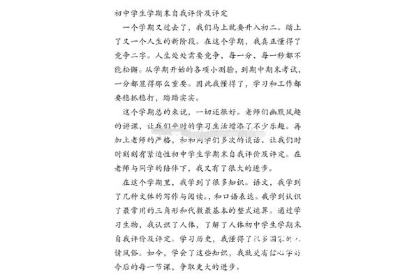 自我评价800
