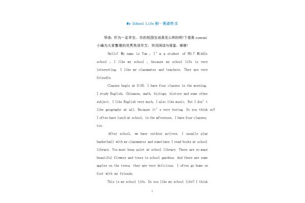 英语作文30字