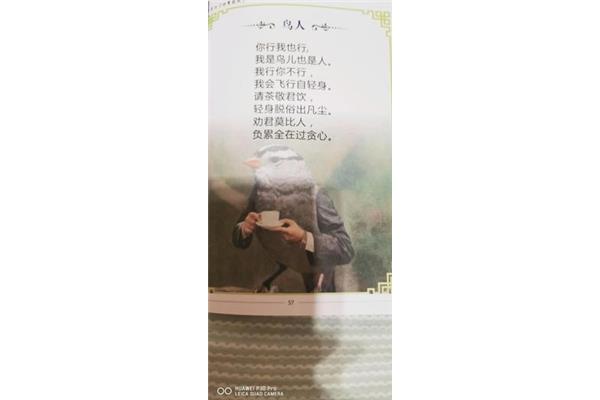 你行我也行