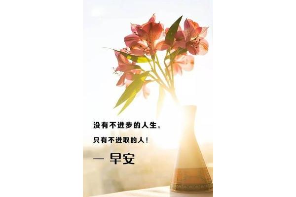 正能量语录早安